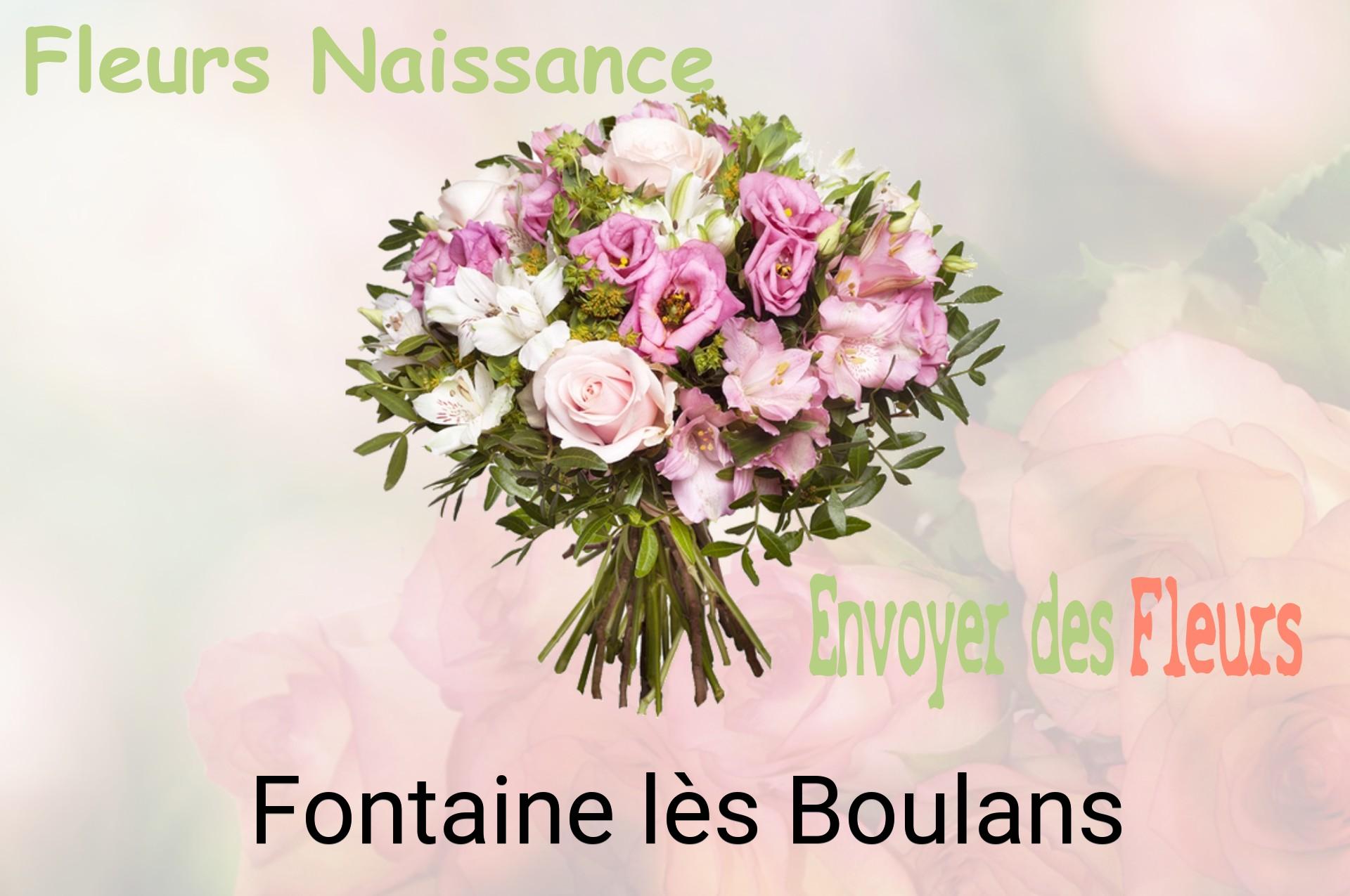 Bouquet de fleurs de naissance livré à Fontaine-lès-Boulans